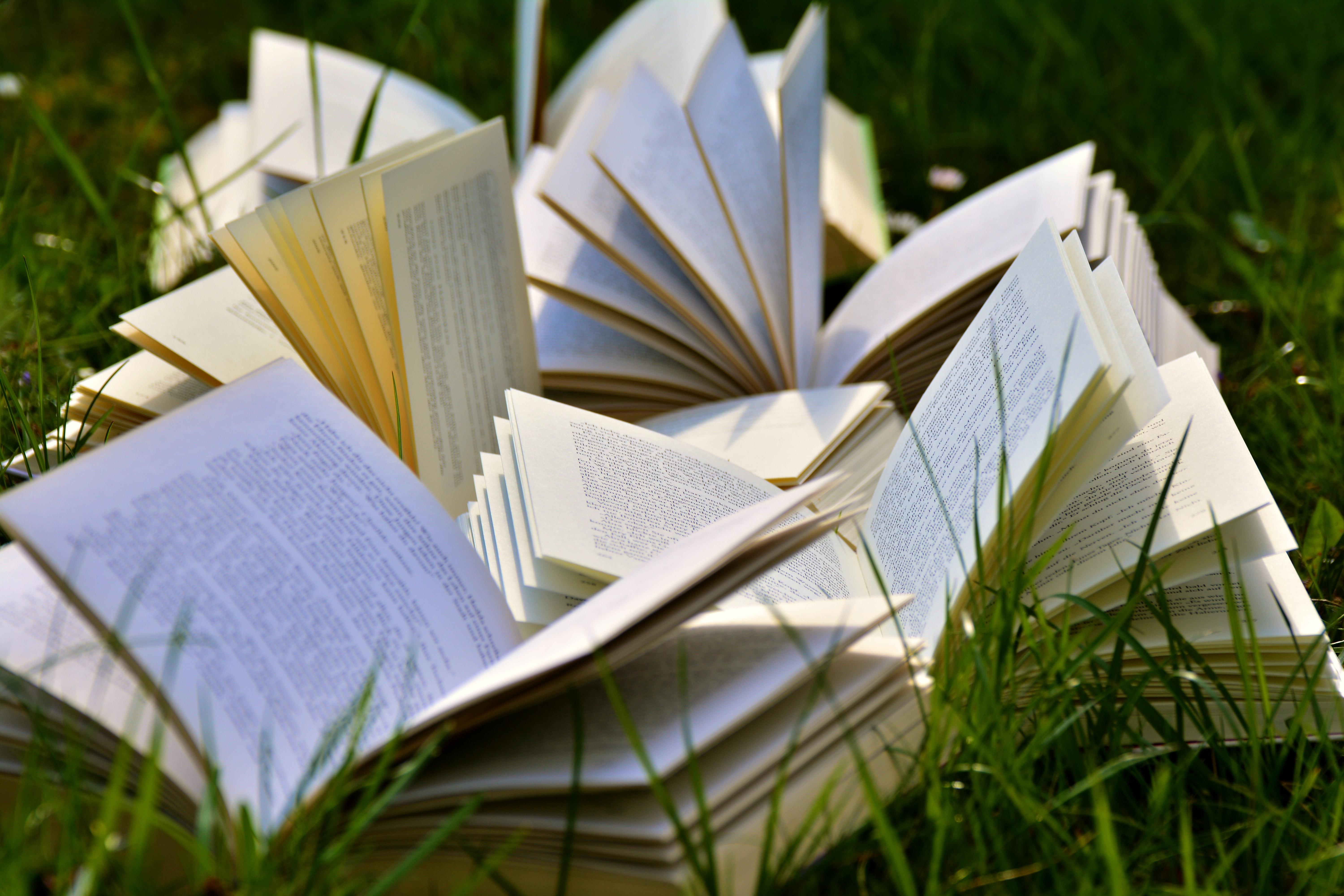 Books on a field